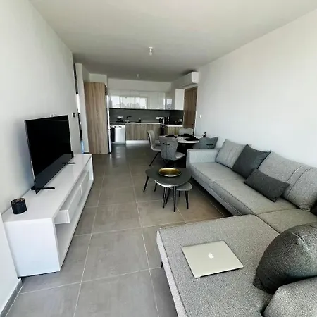 Modern Designer Apartment