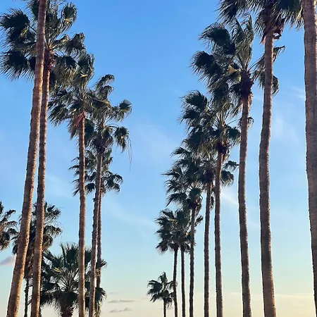 Modern Designer Apartment