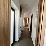 Modern Designer
