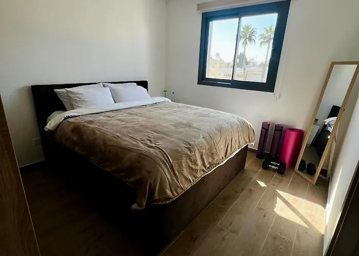 Modern Designer Apartment