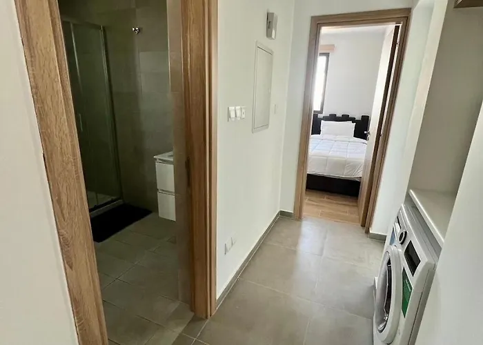 Modern Designer Apartment