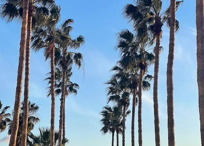 Modern Designer Διαμέρισμα